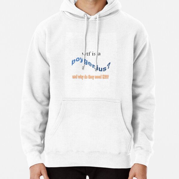 wtf is a boygenius? Pullover Hoodie RB0208 product Offical boygenius Merch